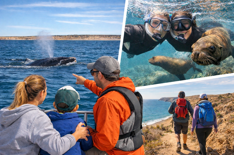 Cómo elegir excursiones en Puerto Madryn según tu tipo de viaje