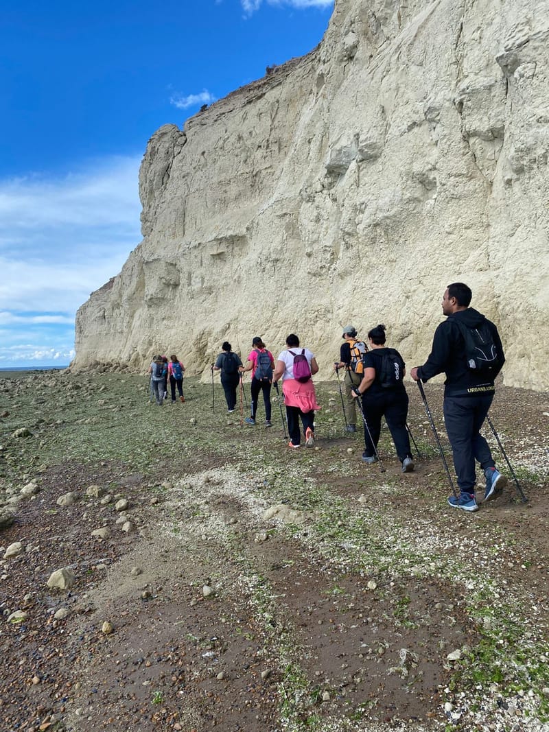 Puerto Madryn all year round: nature, culture and experiences for every season