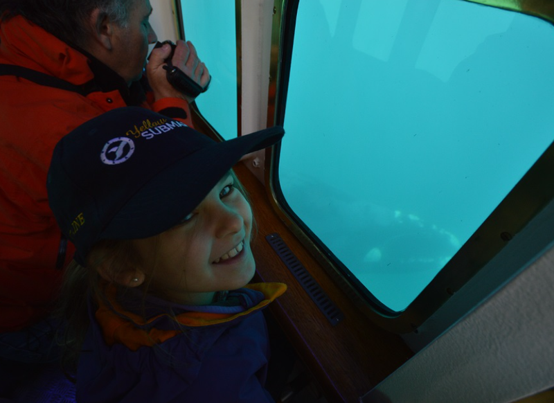 Puerto Madryn with children: excursions and experiences to enjoy as a family