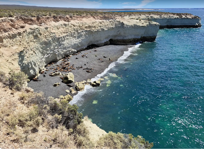Punta Loma y City Tour: una excursión corta para conocer Puerto Madryn