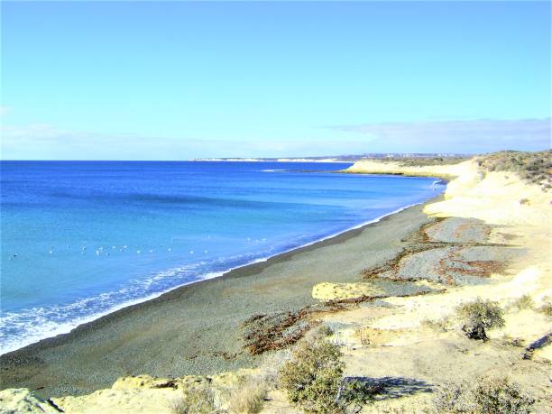 What to do in Puerto Madryn on arrival day