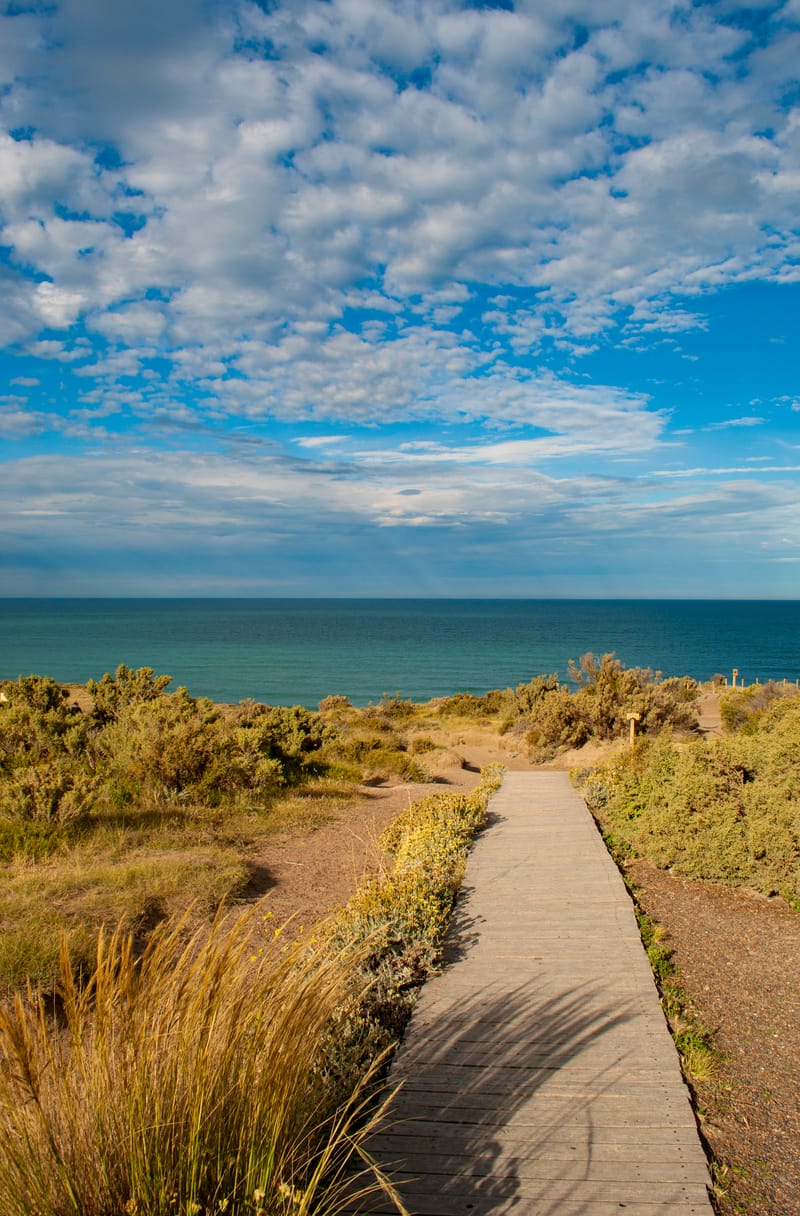 Tourism and sport in Puerto Madryn: active experiences to enjoy nature
