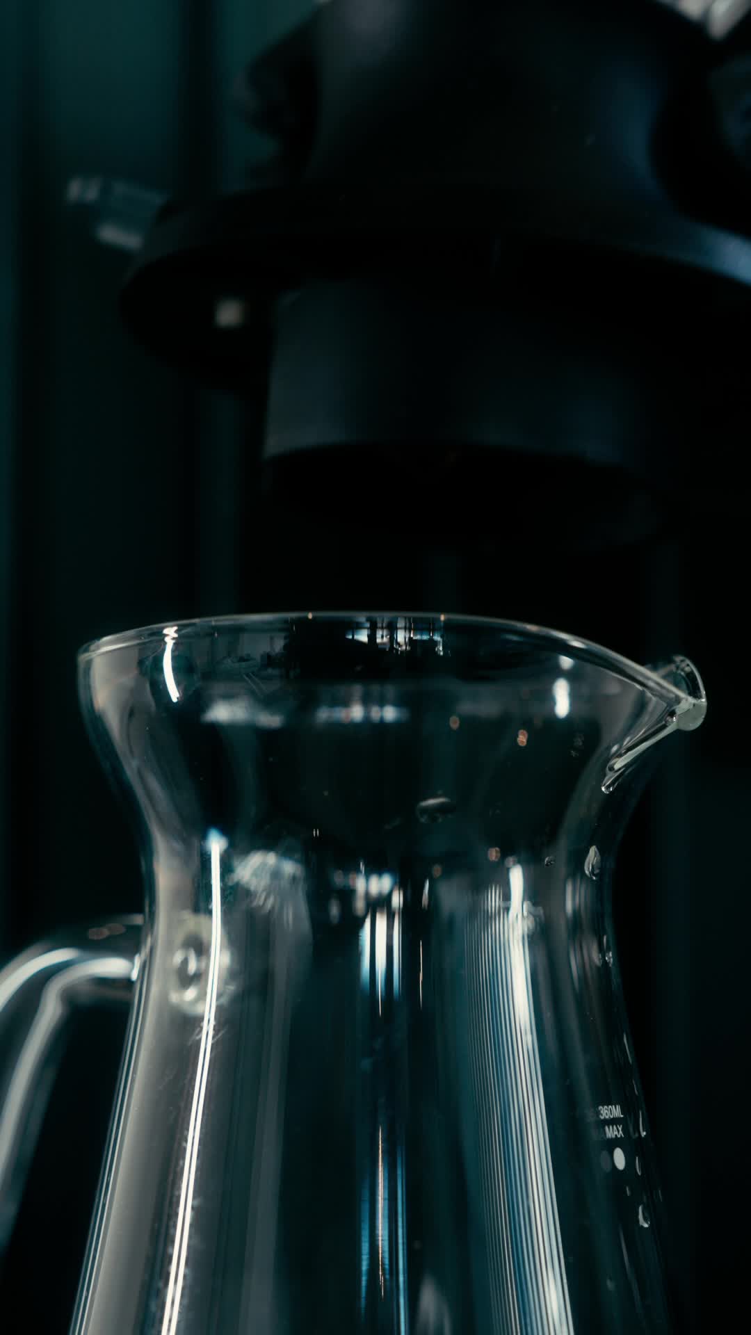 VOYAGE NOVEMBER 2025