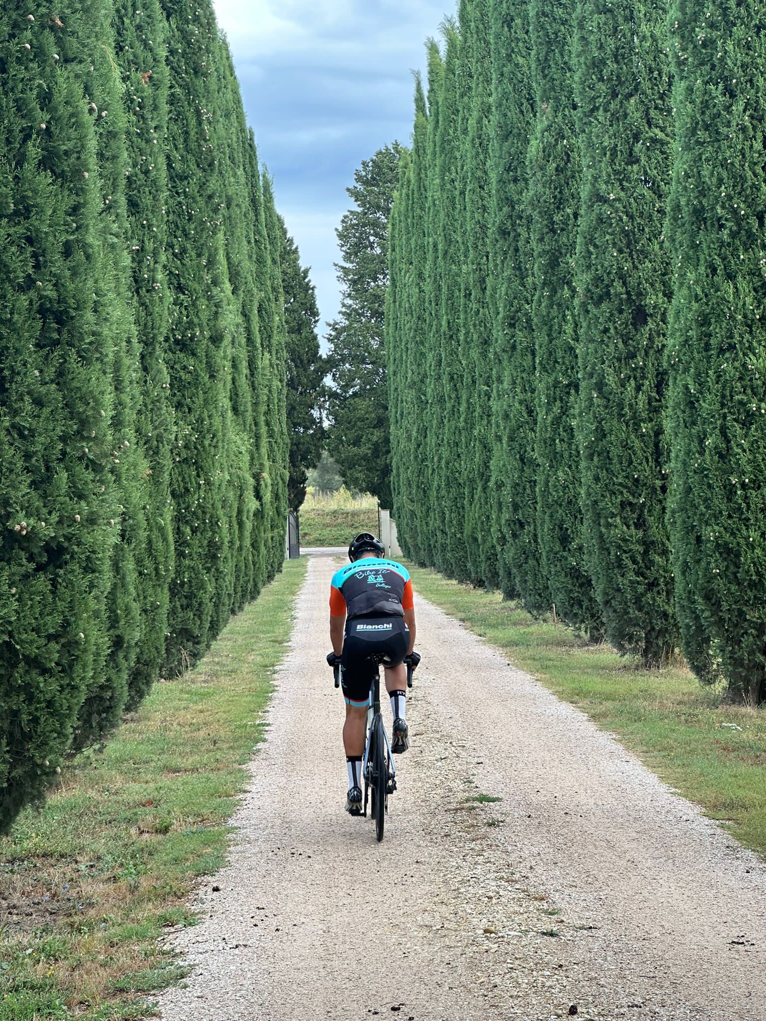 Entering the Montefalco Vineyard