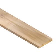 Poplar