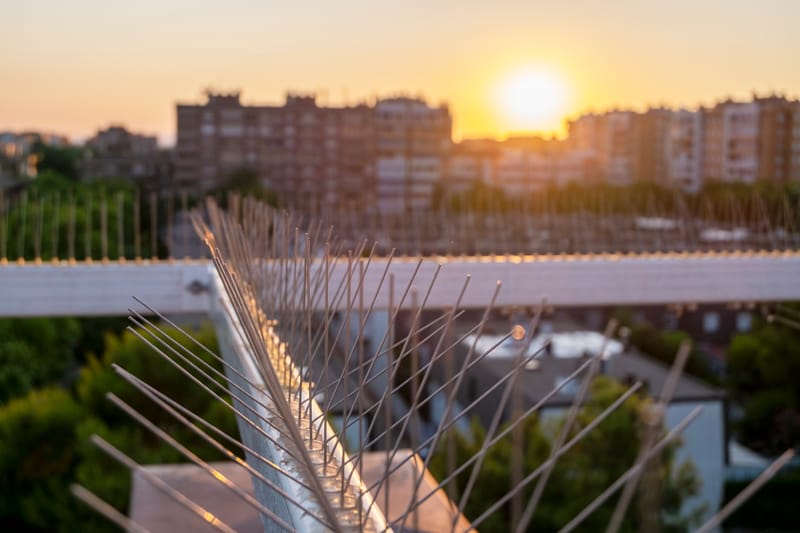تركيب طارد الحمام