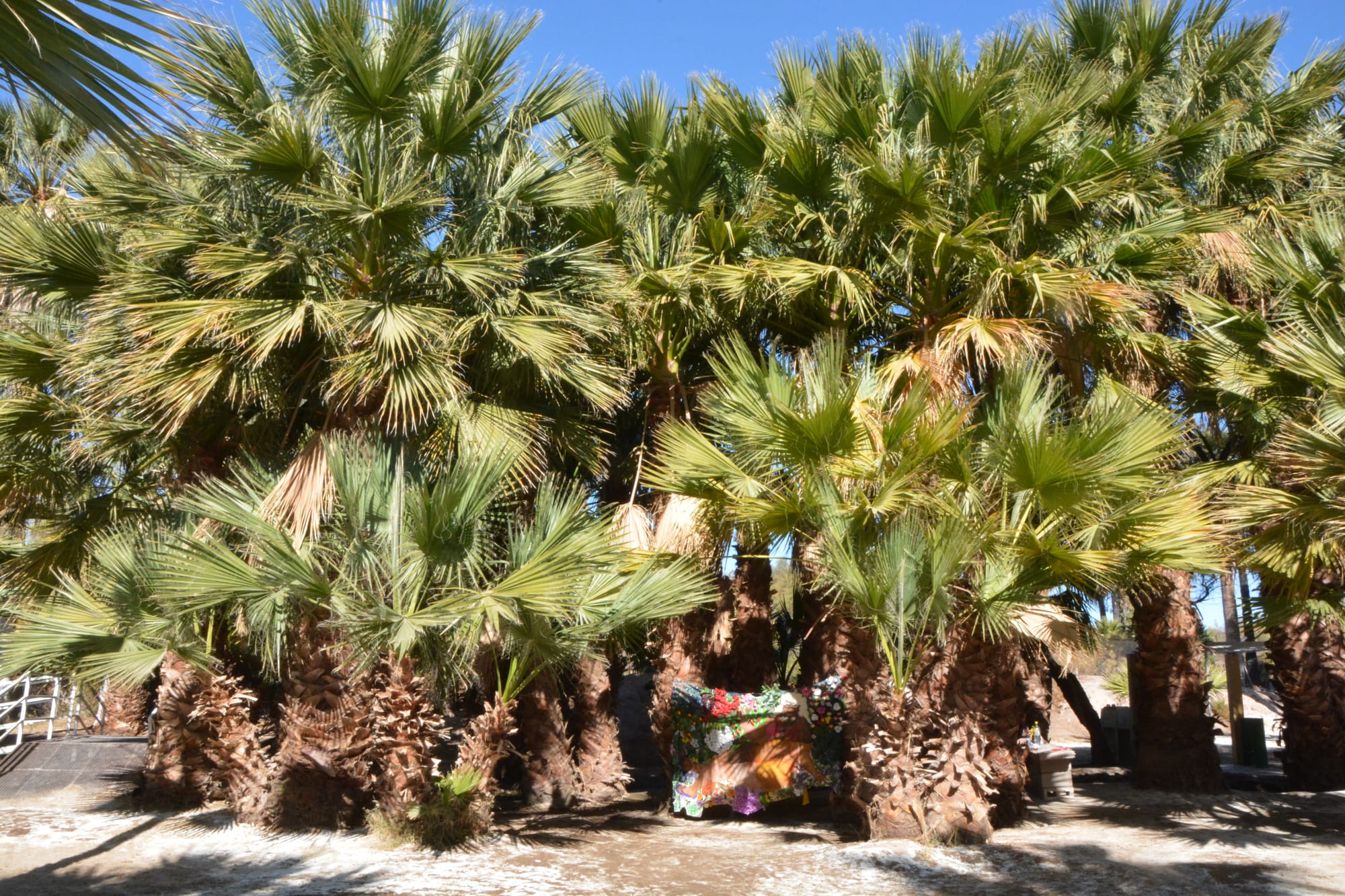 Diosa en sí misma II