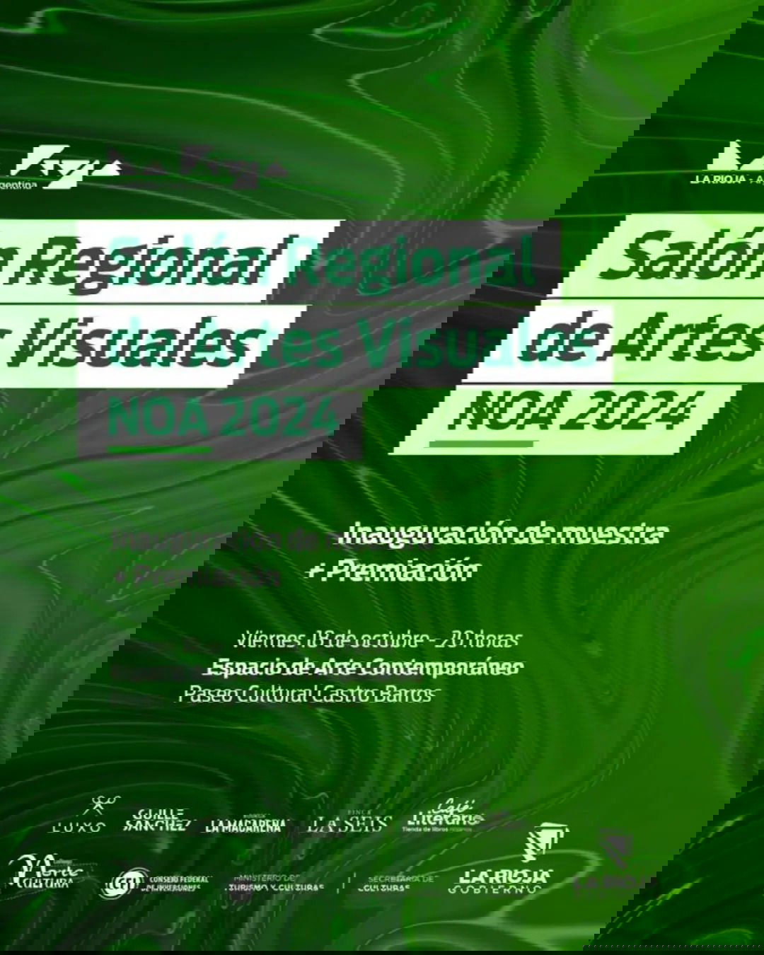 Salón de Artes Visuales del NOA 2024