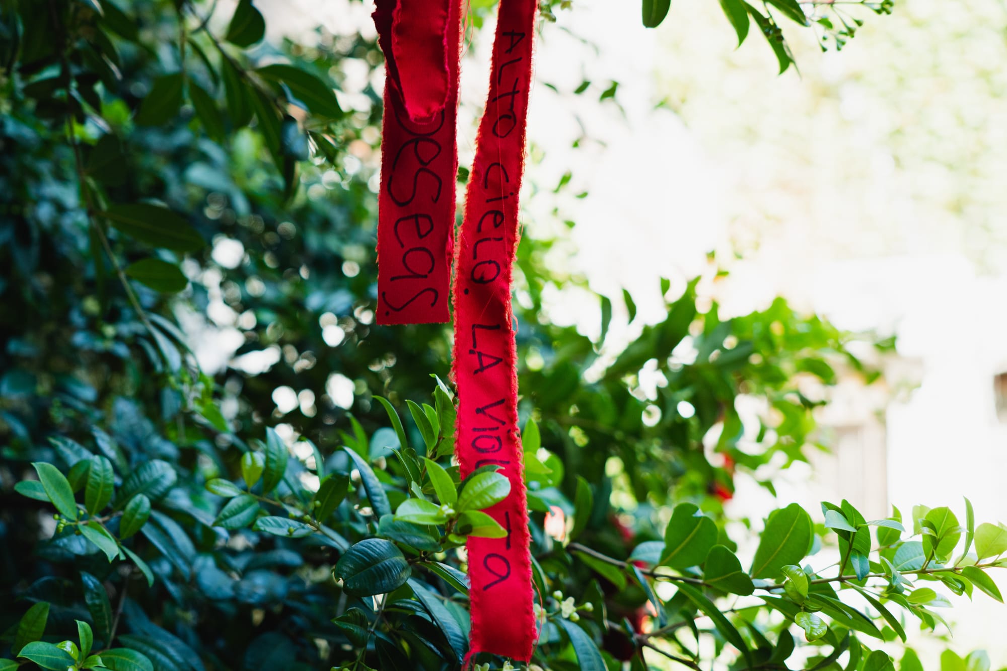 Rituales equivocados. Amarres, invocaciones y servicios esotéricos.