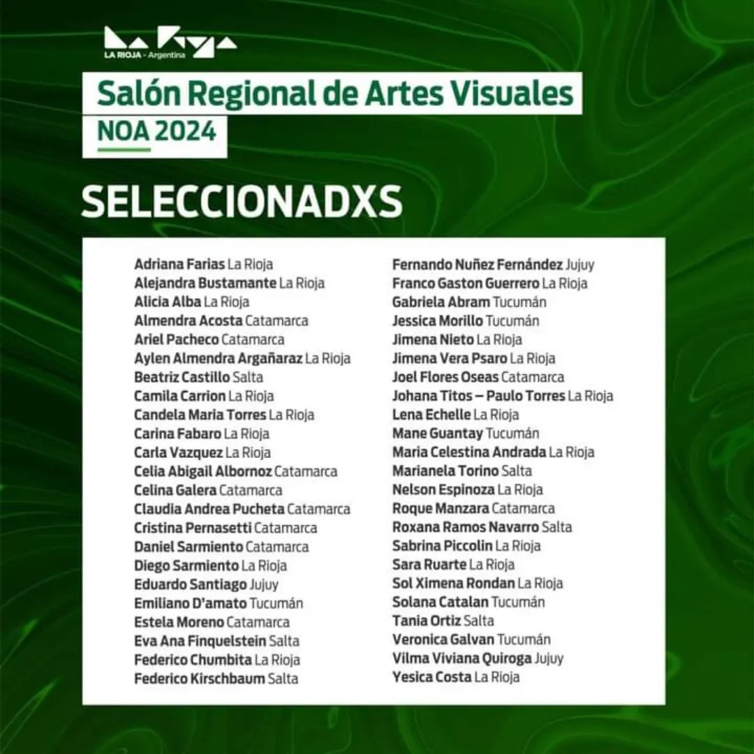 Salón de Artes Visuales del NOA 2024