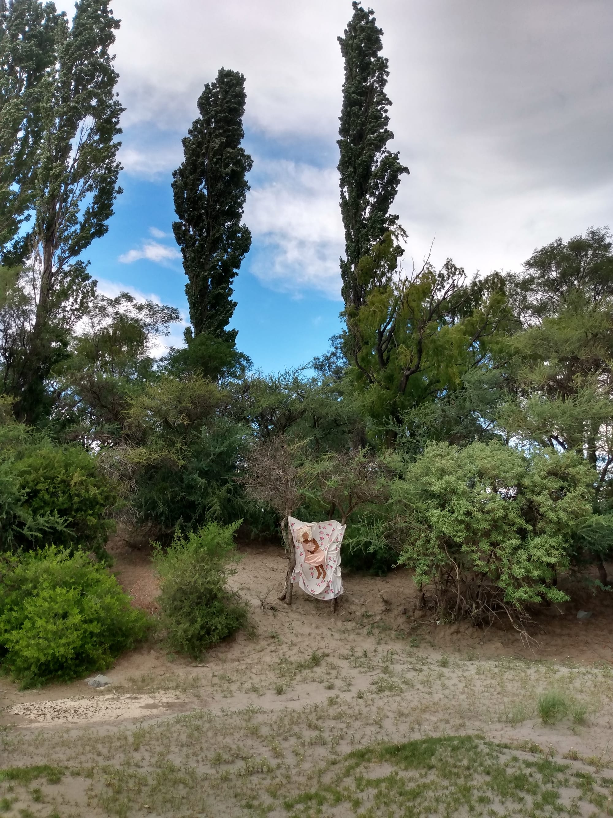 Ella baila con el viento