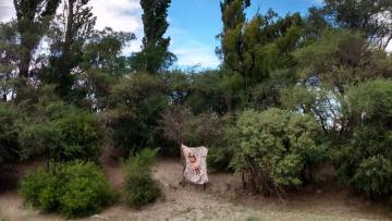 Ella baila con el viento