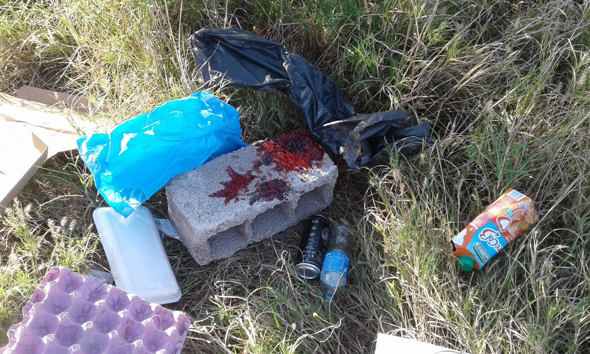 Por mi culpa, por mi culpa, por mi gran culpa