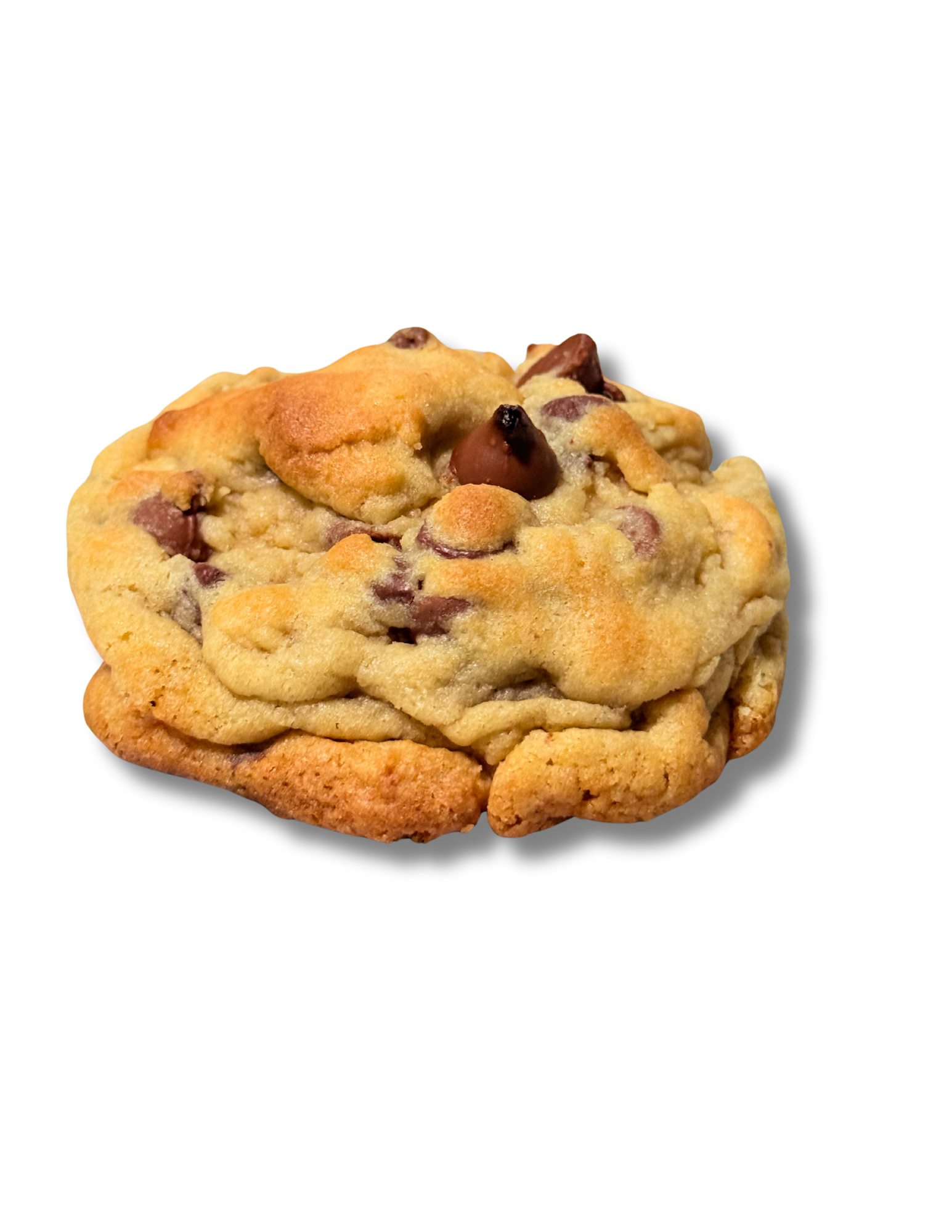 Chocolate Chip