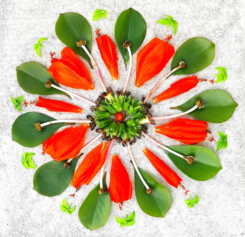 Atelier inspiré de l'art thérapie (Mandala) et initiation Zentangle