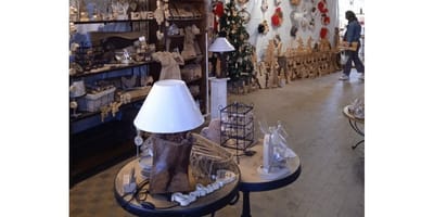 Freecel créations ouvre ses portes pour fêter ses 10 ans