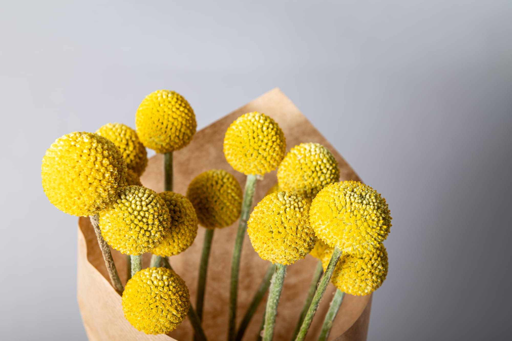 For an elegant bold presentation