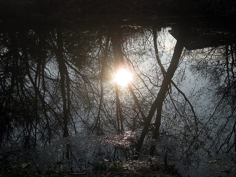 Portfolio Preview...