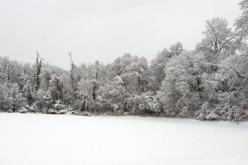 Landscapes and Nature