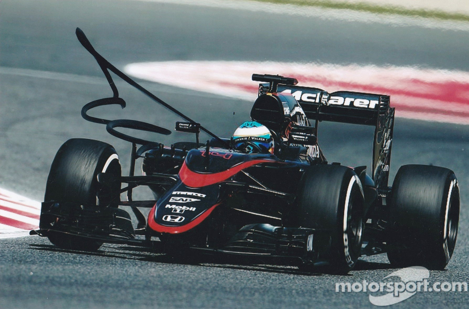 Fernando Alonso (1981-)