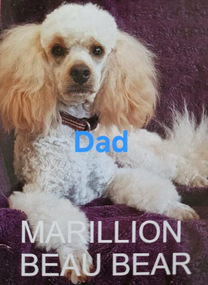 Born 9th September 2026