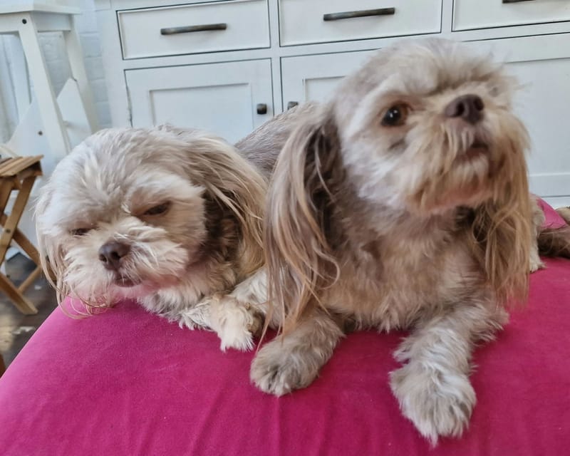 Mother and daughter Mi-Kis