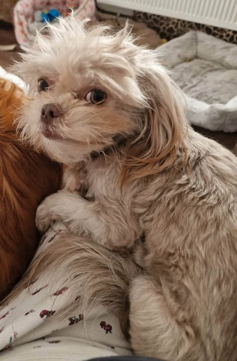 Mother and daughter Mi-Kis