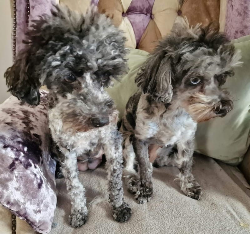 Mother and daughter, must stay together!