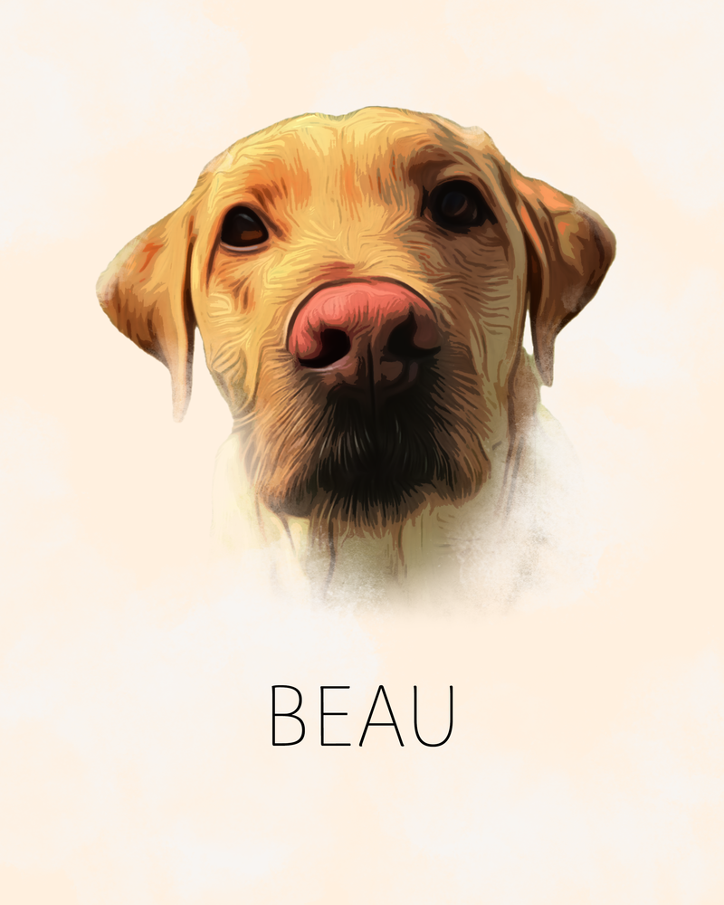Beau