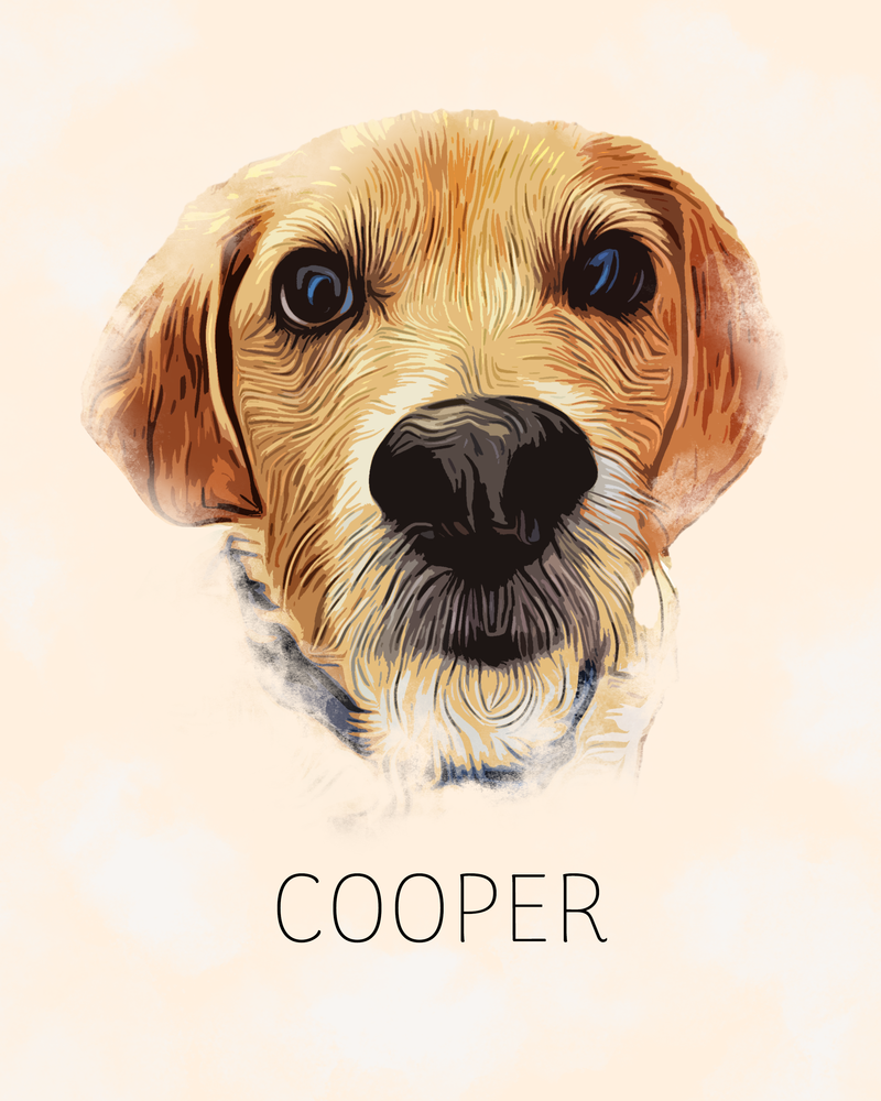 Cooper