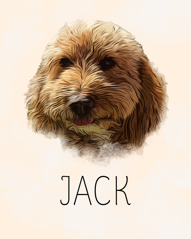 Jack