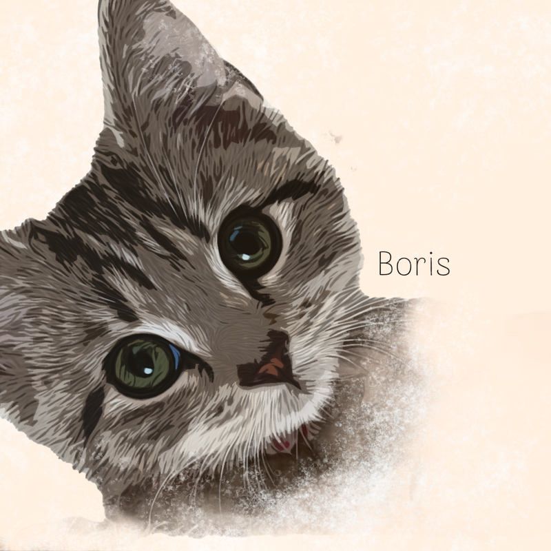 Boris the Cat
