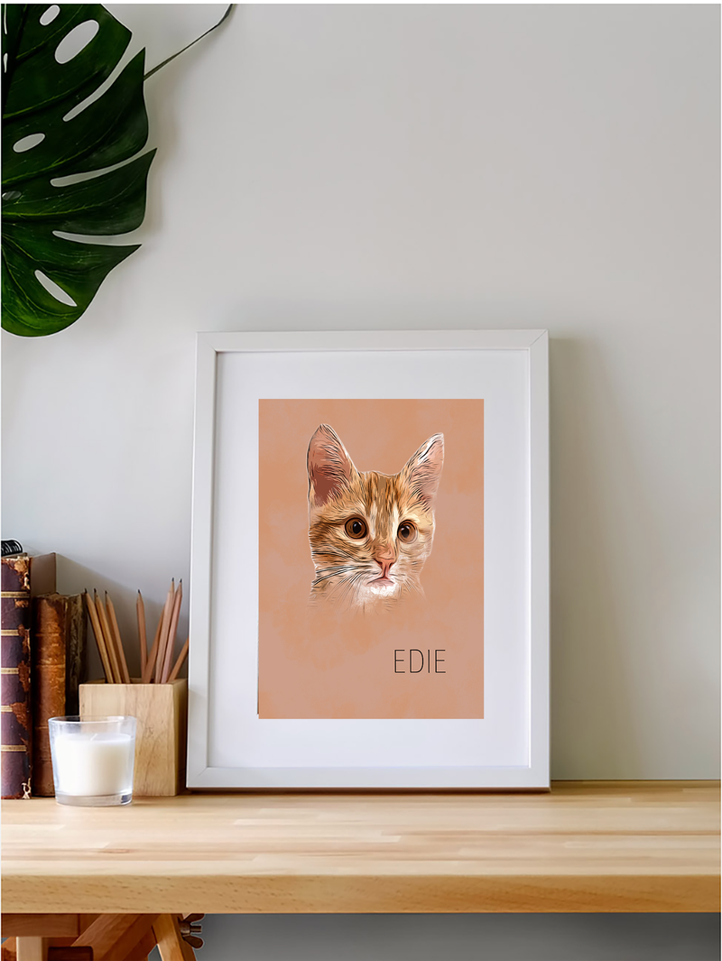 Edie the Cat