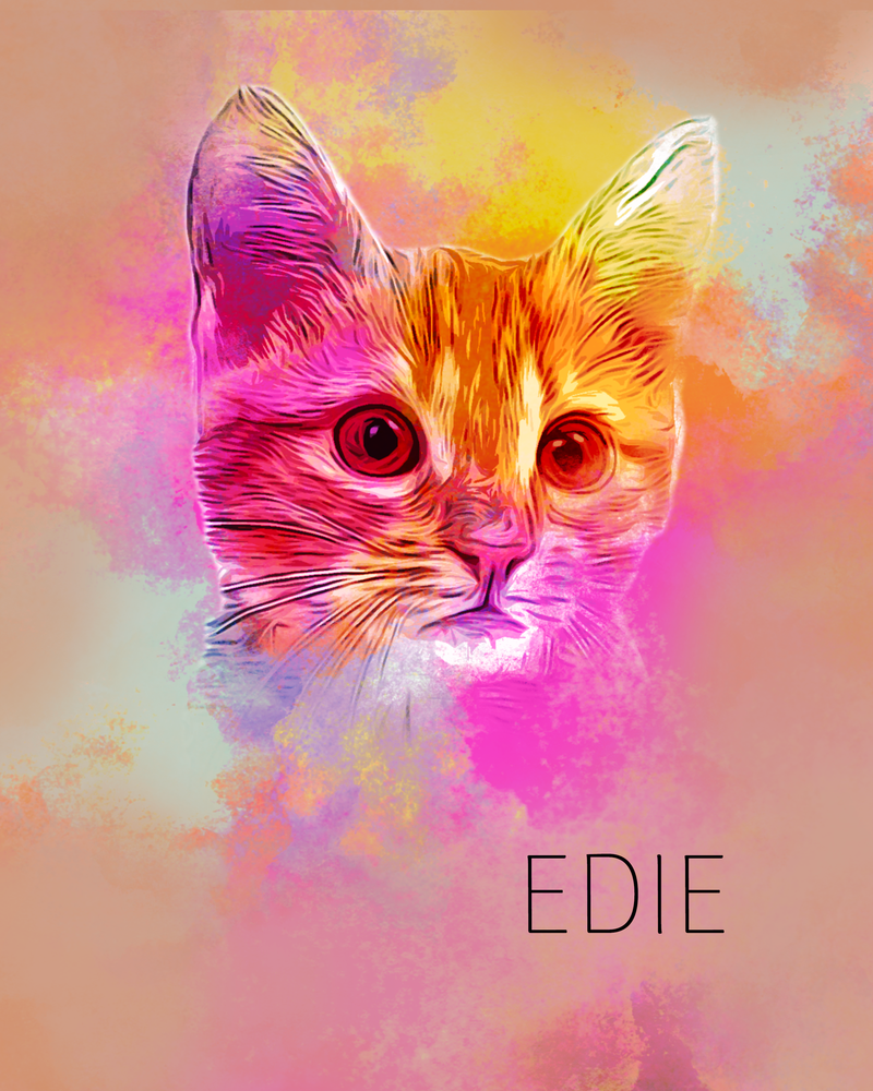 Edie the Cat