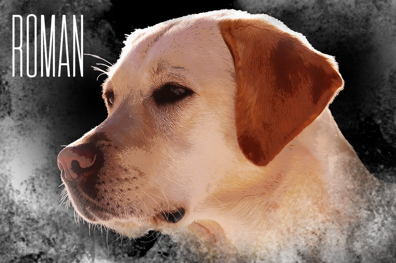 Roman