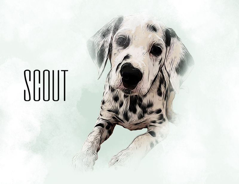 Scout
