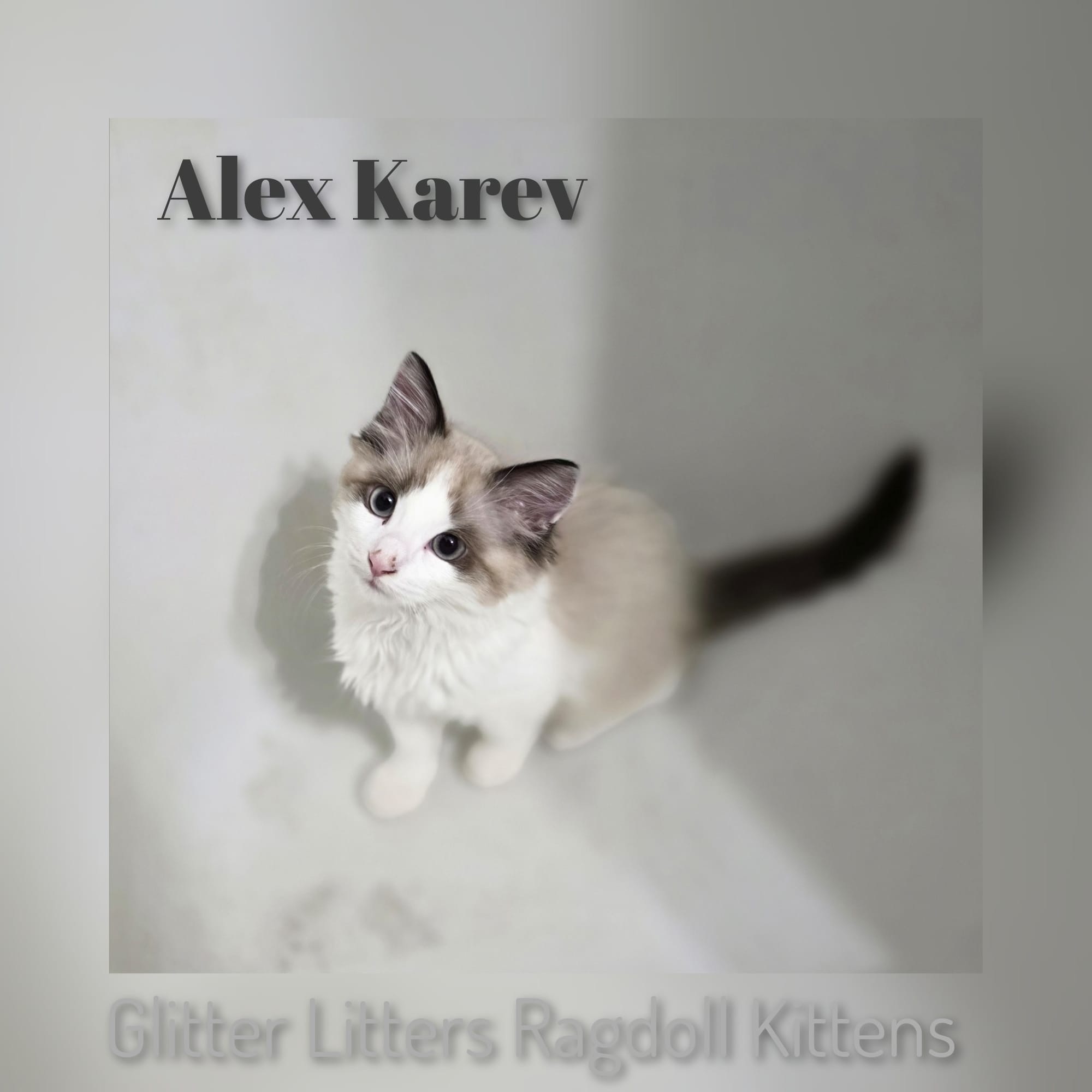 Labor Day Weekend 2025 Litter