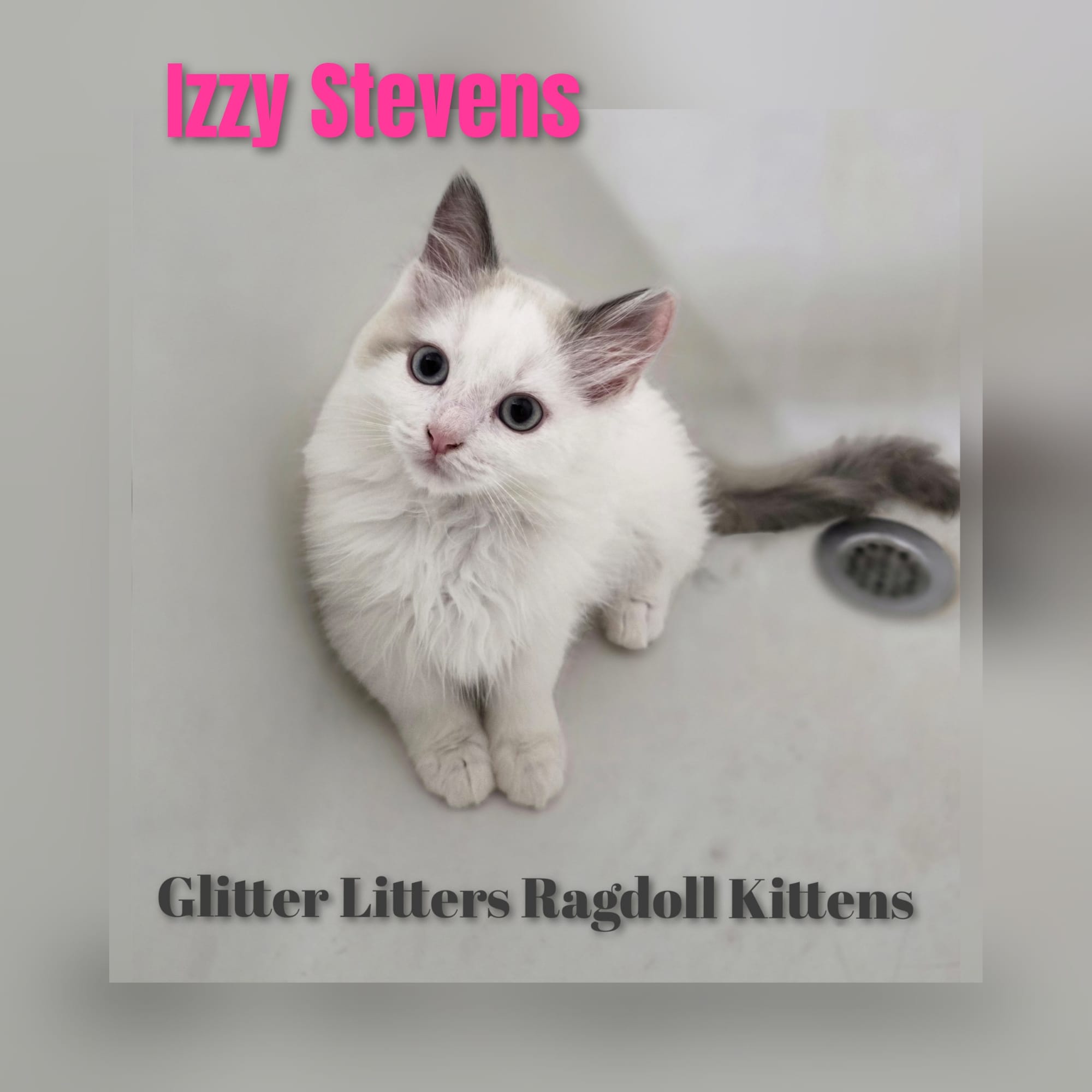 Labor Day 2025 LItter