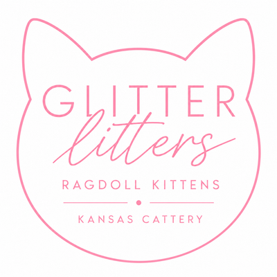 Glitter Litters Ragdoll Kittens
