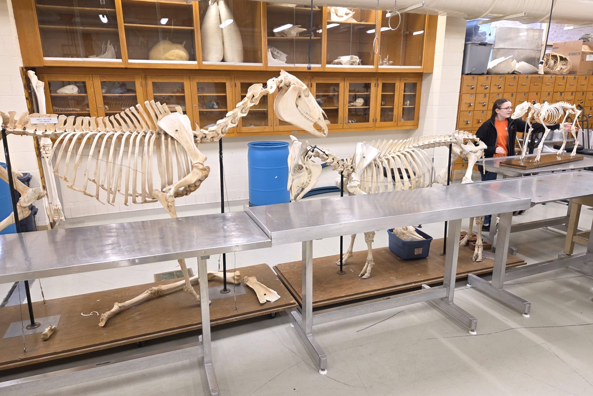 UT Vet School Tour Apr 2026