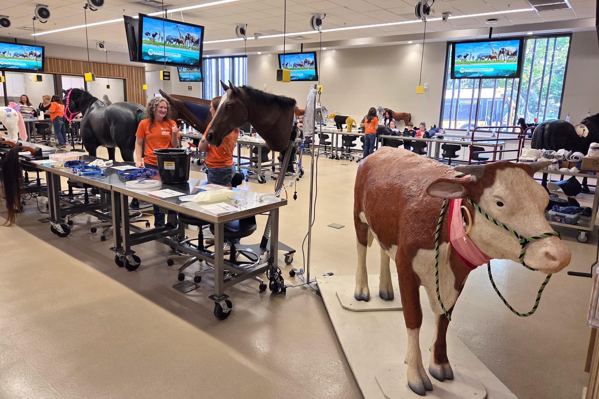 UT Vet School Tour Apr 2026