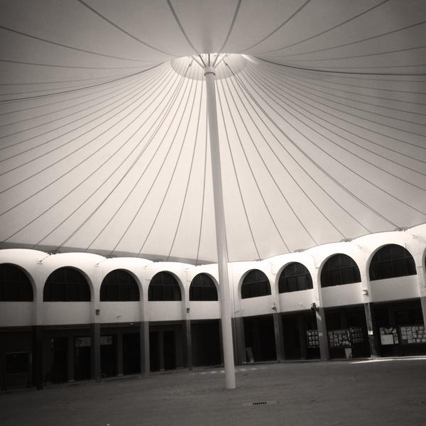 تركيب عوازل وأسقف وجدران