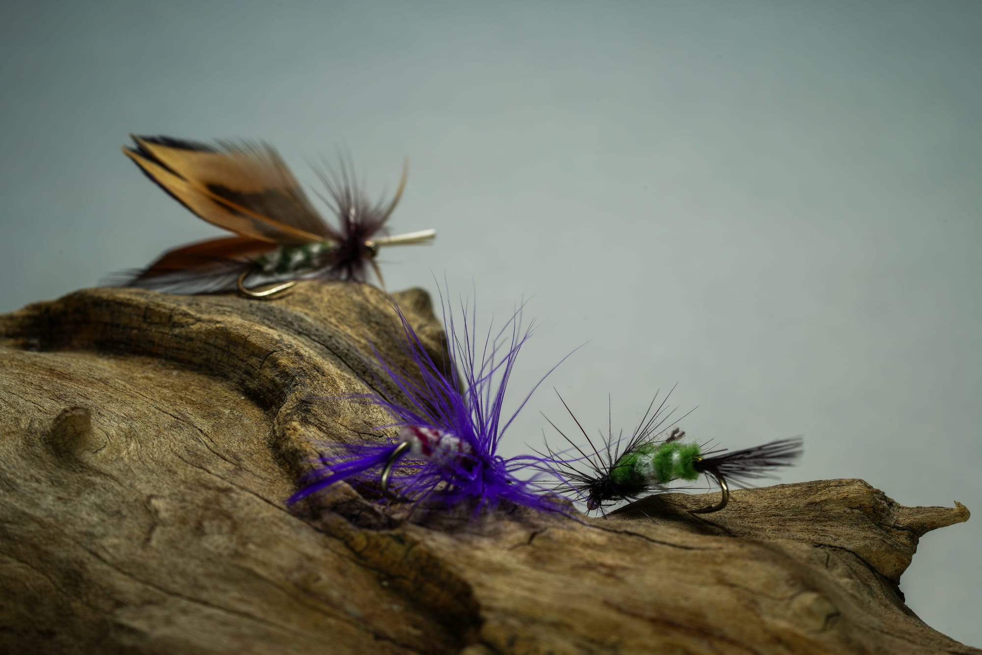 Exploring the Allure of Vintage Flies