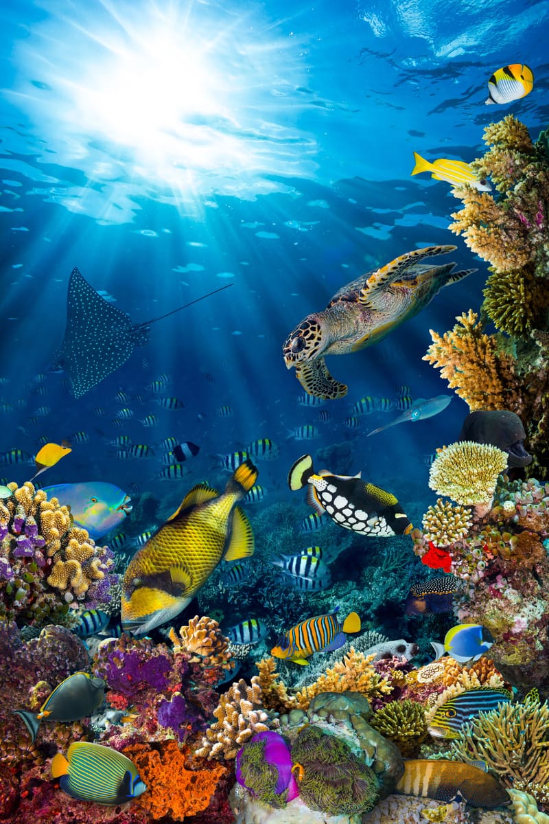 Unique Fishing Games
