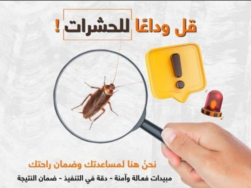 شركة مكافحة حشرات بجدة