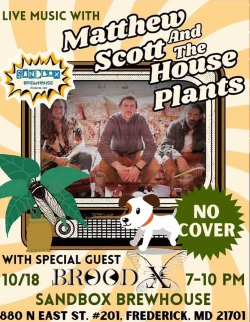 Matthew Scott and the House Plants