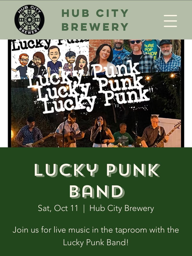 Lucky Punk Band