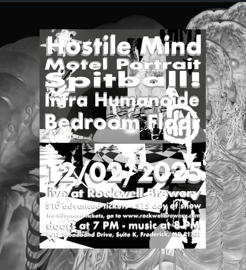 Hostile Mind/Motel Portrait/Infra Humanoide/Bedroom Floor/Spitball!