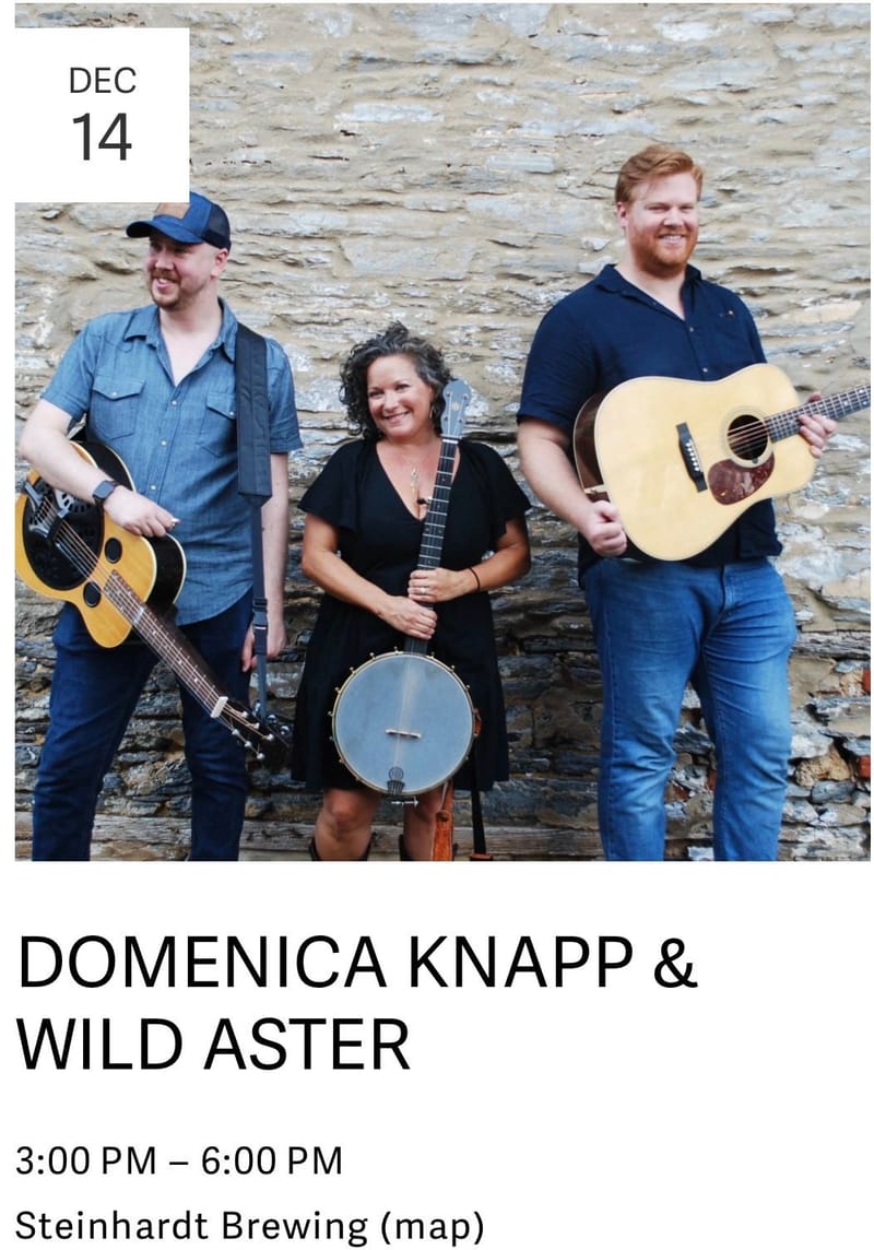 Domenica Knapp & Wild Aster