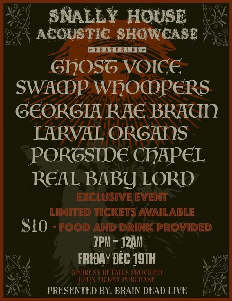 Snally House Acoustic Showcase: Ghost Voice/Swamp Whompers/Georgia Rae Braun/Larval Organs/Portside Chapel/Real Baby Lord